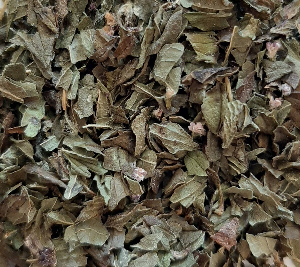 TISANE INFUSETTE MENTHE POIVREE BIO (x20)