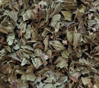 TISANE INFUSETTE MENTHE POIVREE BIO (x20)