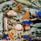 TISANE LA TRADITIONNELLE BIO 25G - DU SOIR