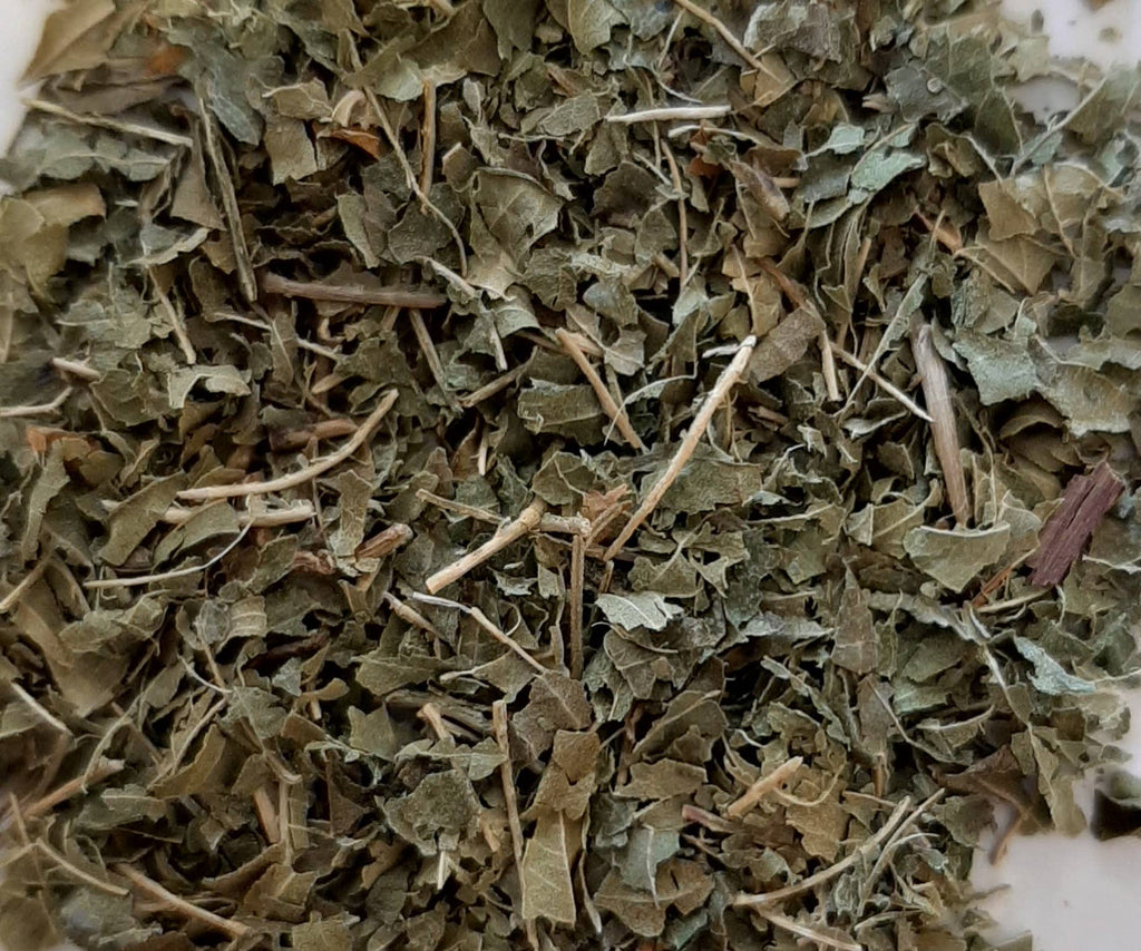 TISANE INFUSETTE VERVEINE BIO (X20)