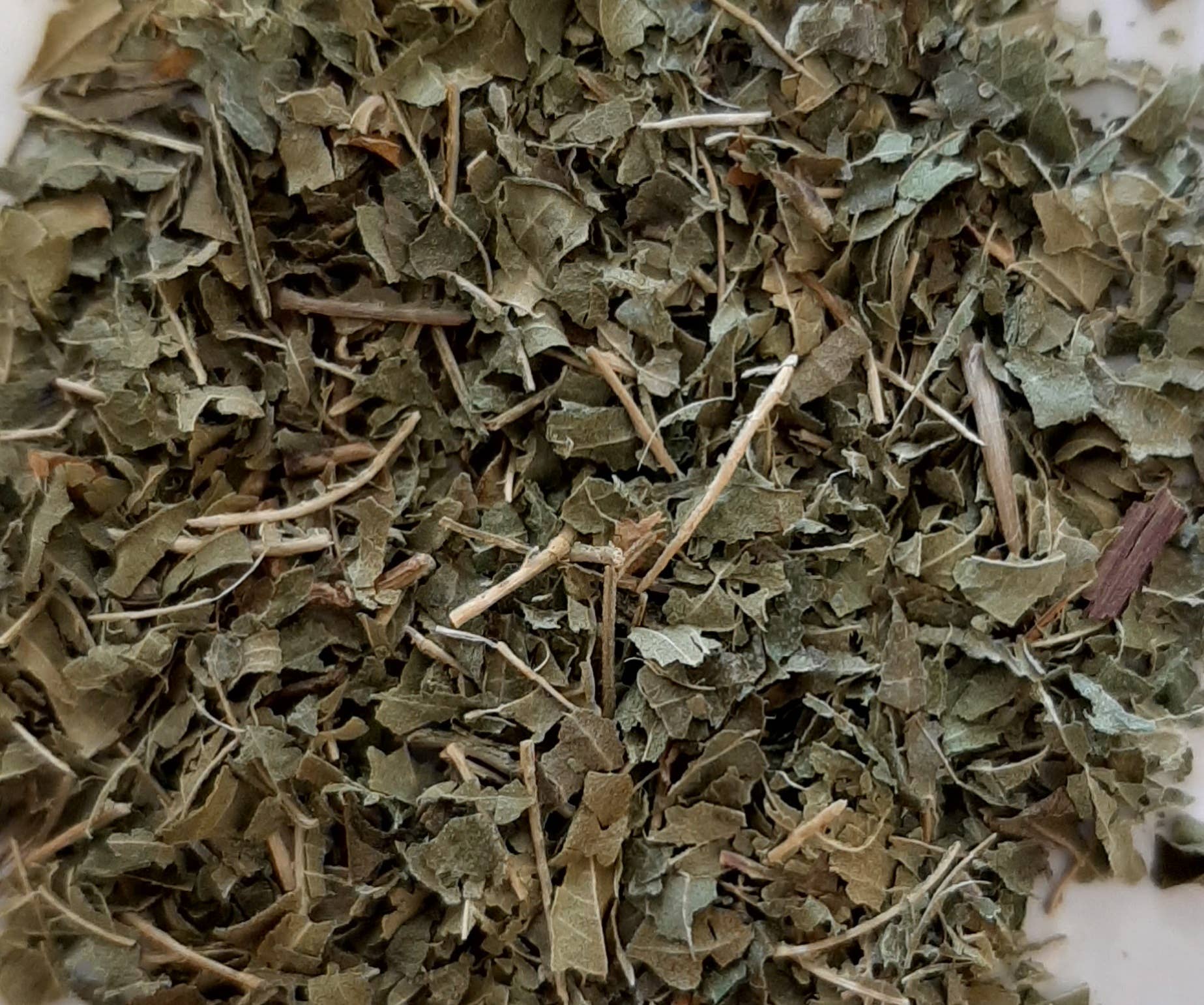 TISANE INFUSETTE VERVEINE BIO (X20)