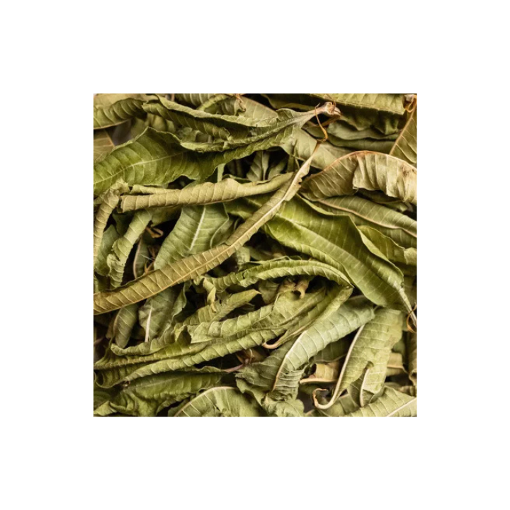 Tisane Verveine Bio en infusettes x20 – Le Comptoir d’Herboristerie