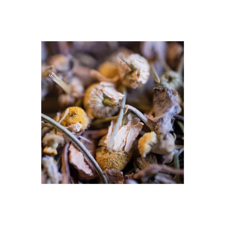 Tisane L’Hépatante Bio 50 g – Drainante du foie | Le Comptoir d’Herboristerie