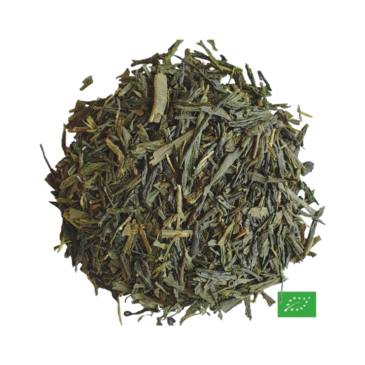 Thé Vert Bio Zhejiang Sencha OP – Thé vert nature Chine