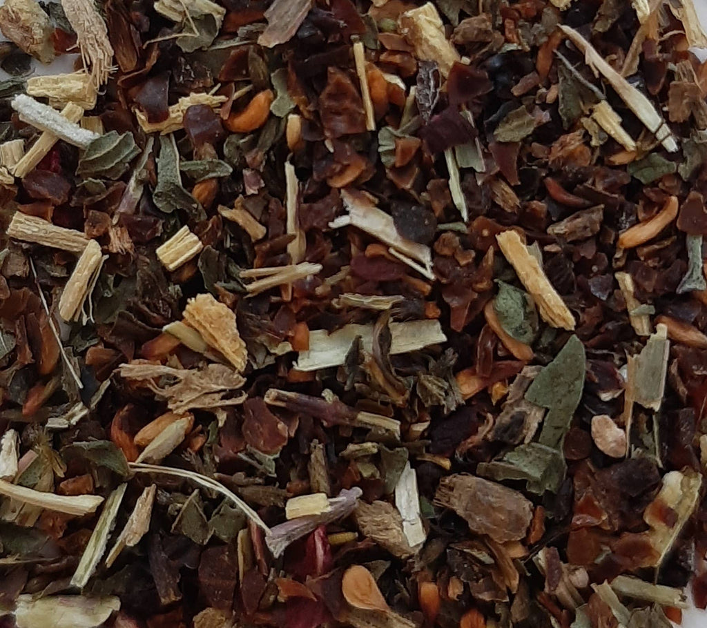 TISANE INFUSETTE TONIQUE BIO (x20)