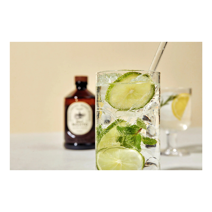 Sirop Mojito Bio 400 ml – Sirop Brut Bacanha